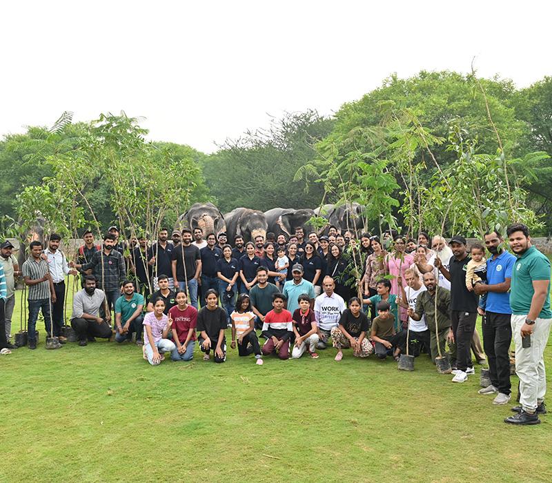 Professional woman in office